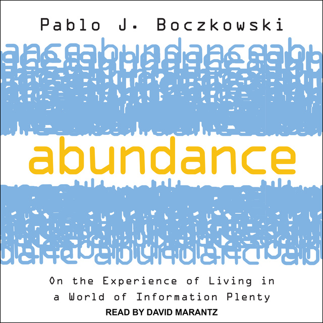 Abundance: On the Experience of Living in a World of Information Plenty