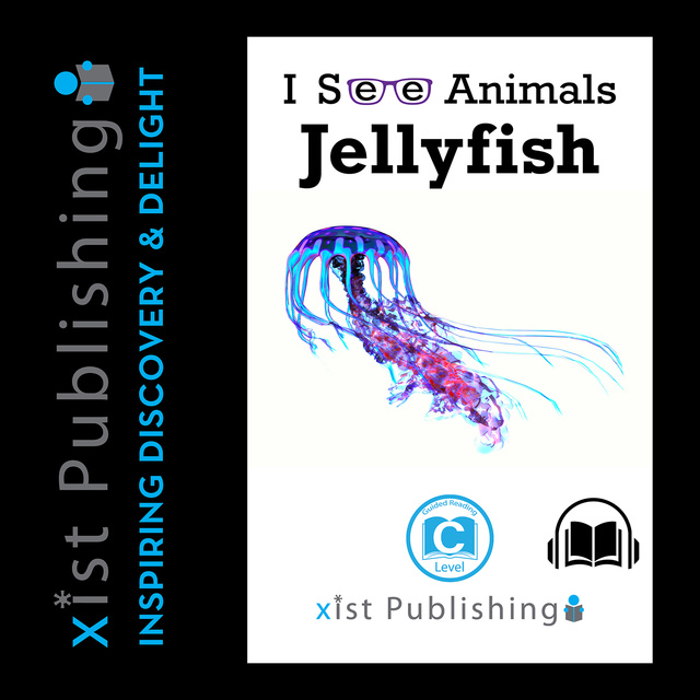Jellyfish
