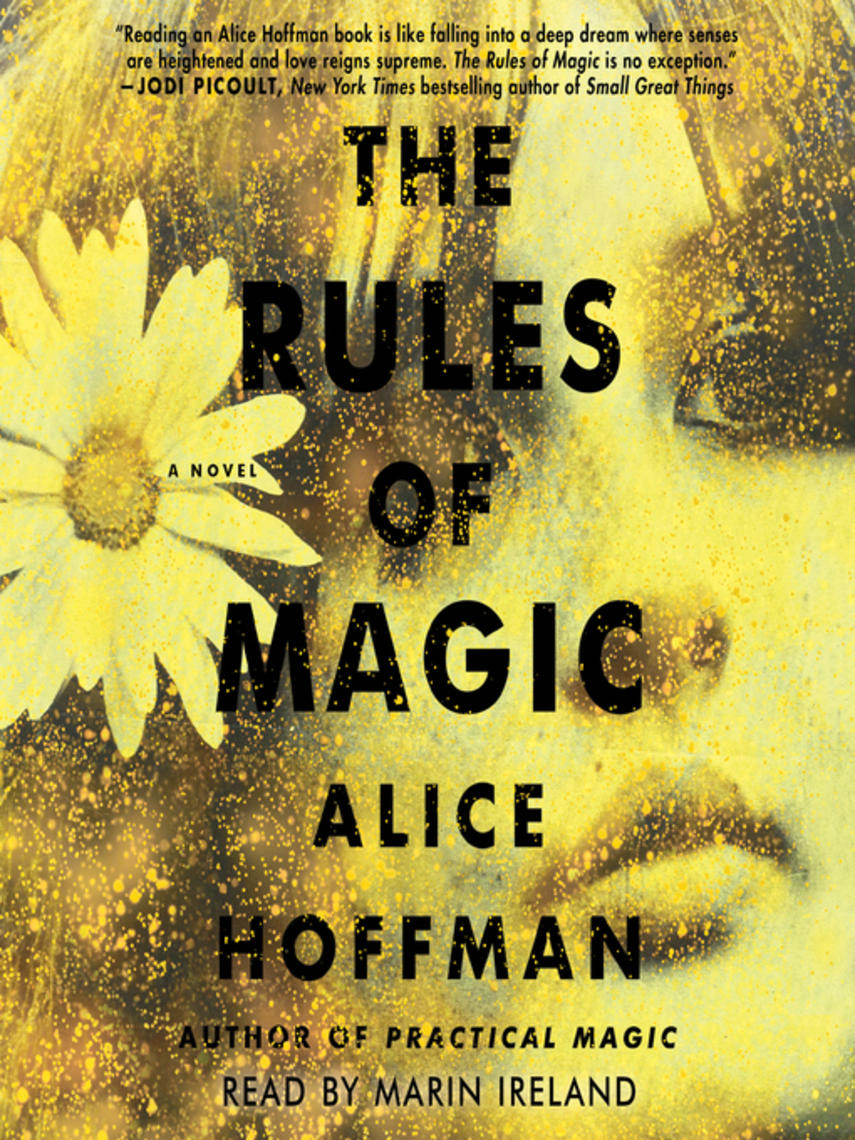 The rules of magic : A novel