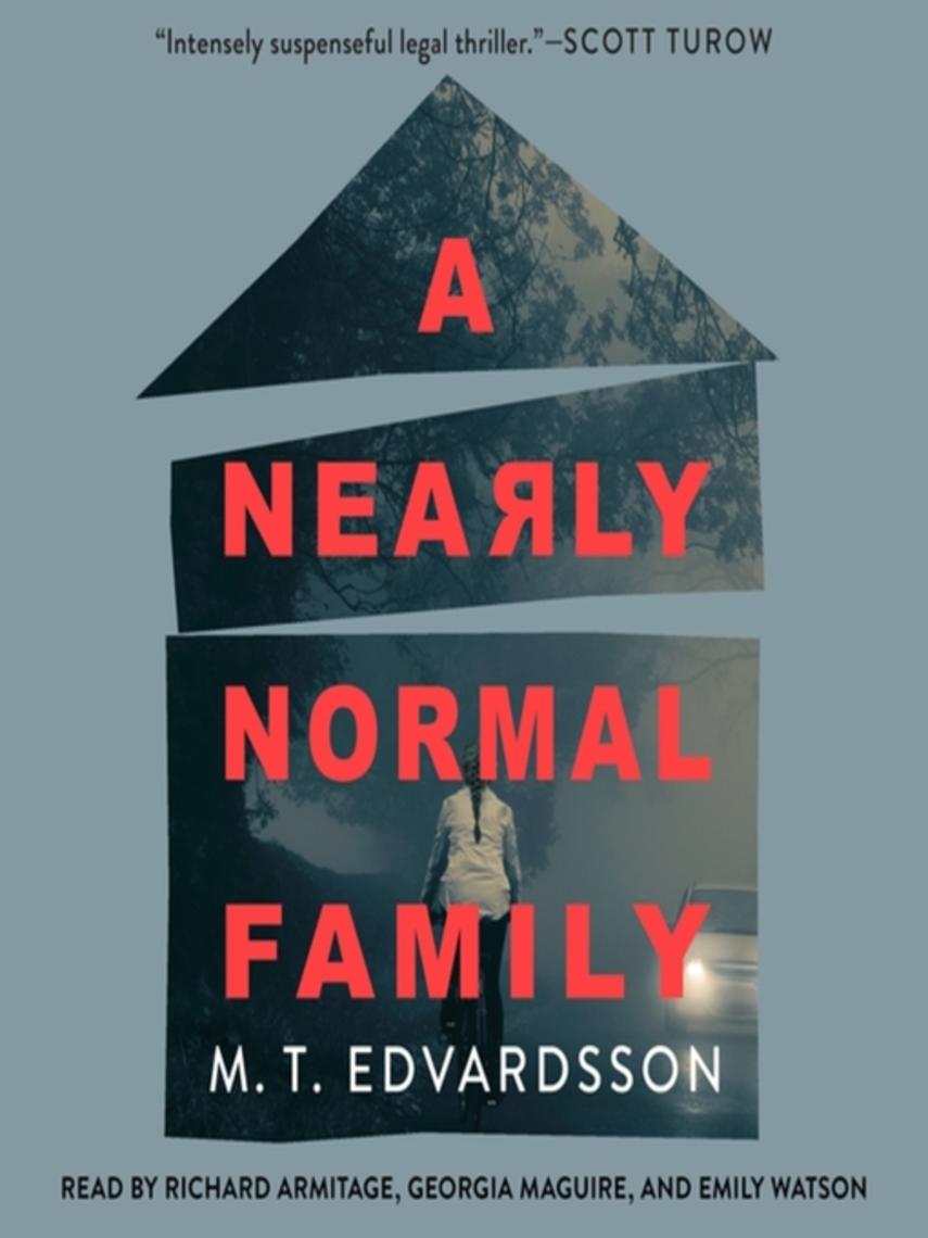A nearly normal family : A novel