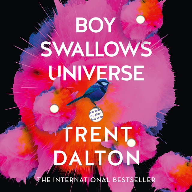Boy Swallows Universe