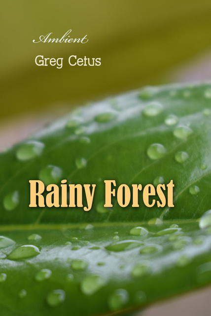 Rainy Forest: Ambient Nature Sounds