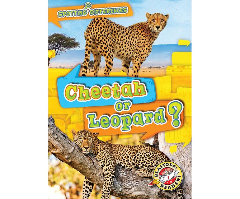 Cheetah or Leopard?