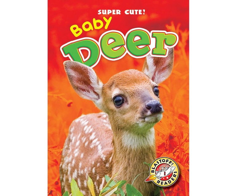 Baby Deer
