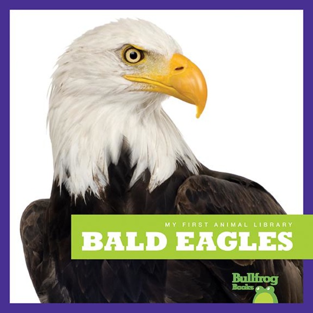 Bald Eagles