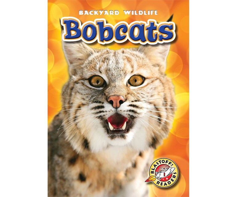 Bobcats