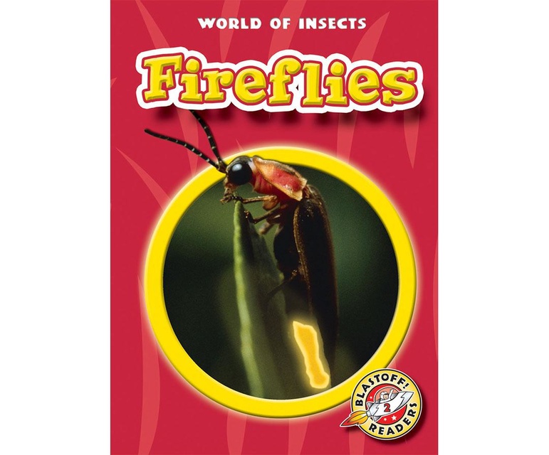 Fireflies