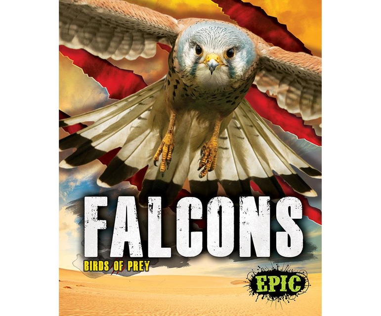 Falcons