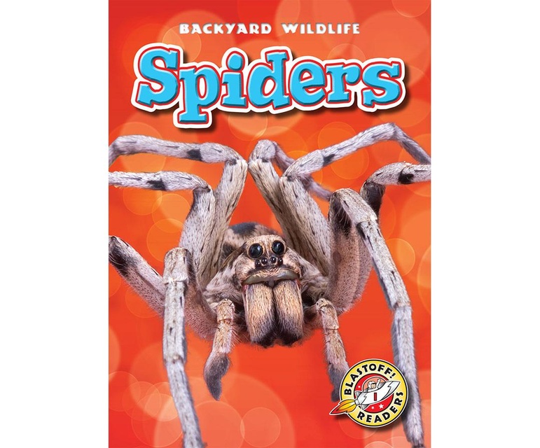 Spiders