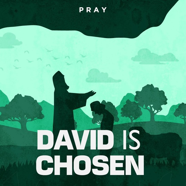 David is Chosen : A Bible Story by Pray.com