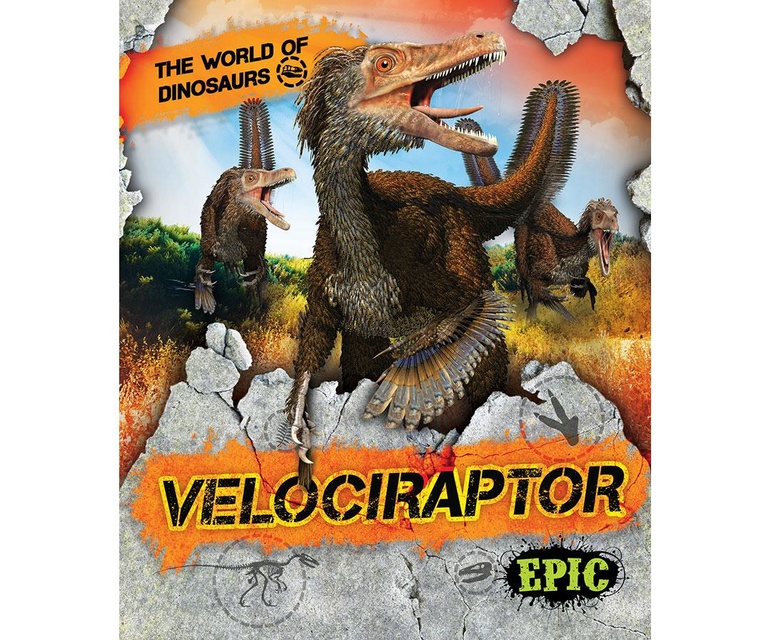 Velociraptor