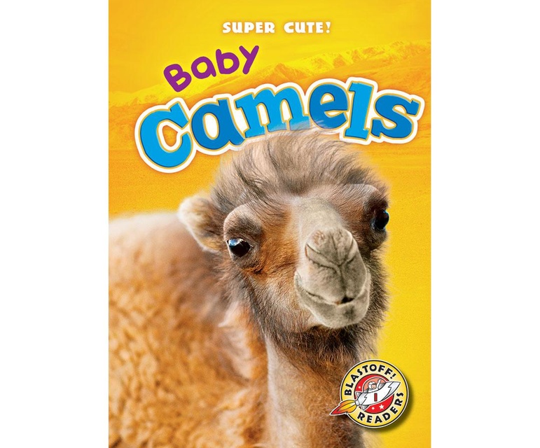 Baby Camels