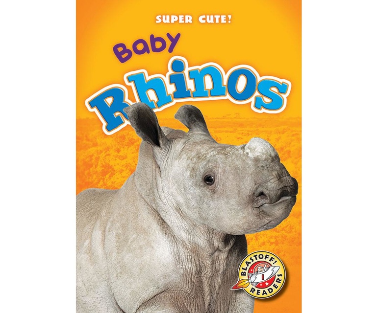 Baby Rhinos