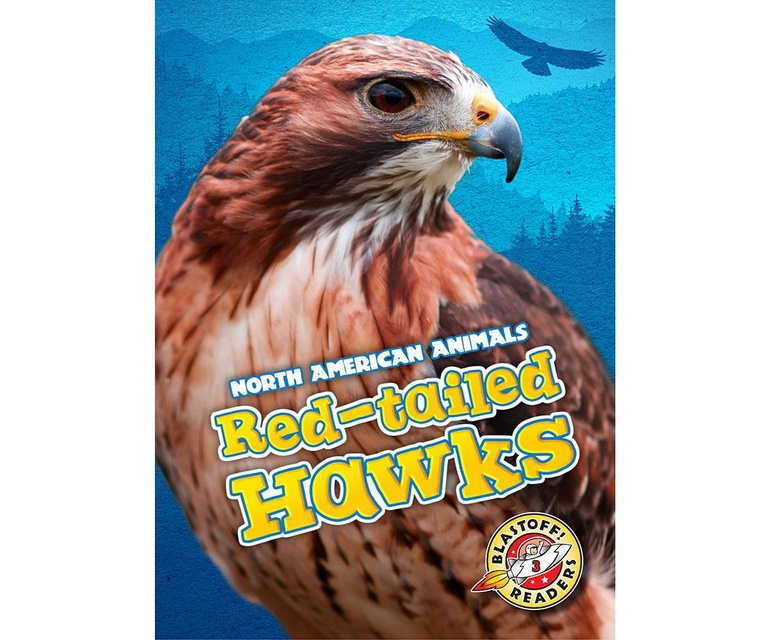 Red-tailed Hawks