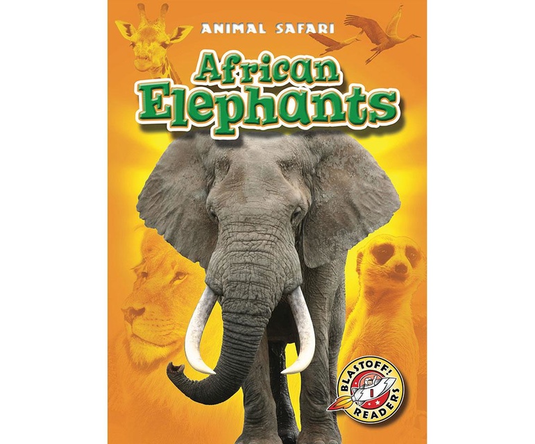 African Elephants