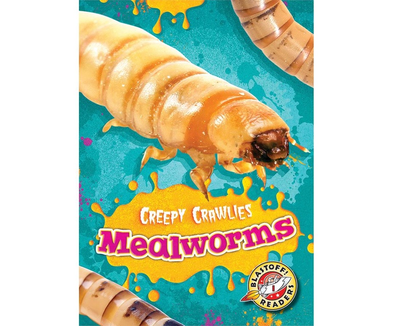 Mealworms