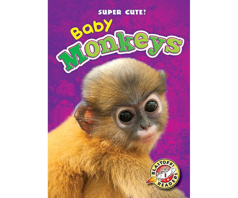 Baby Monkeys