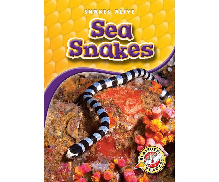 Sea Snakes