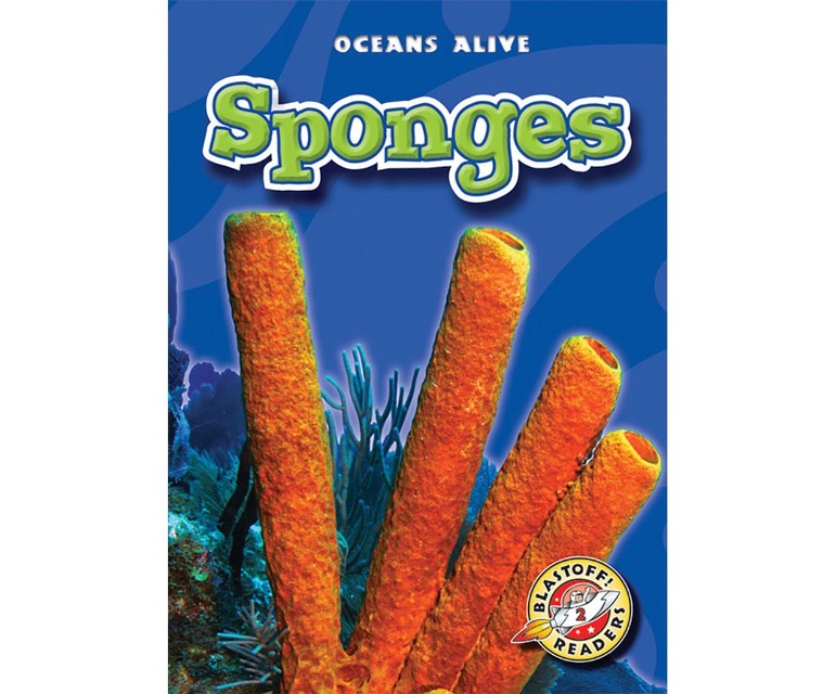 Sponges