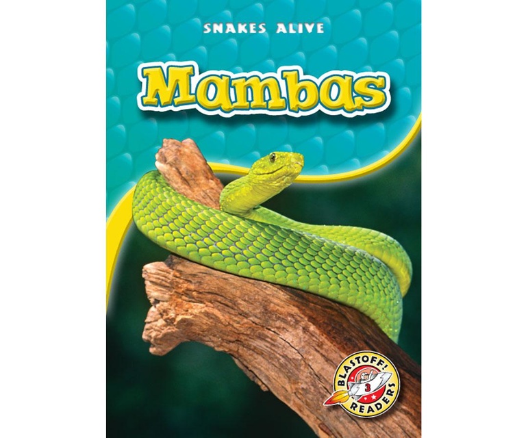 Mambas