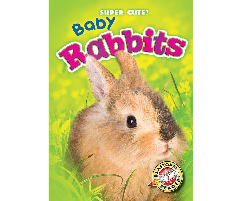 Baby Rabbits