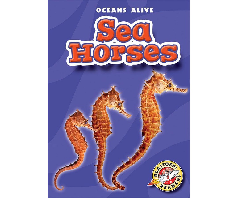 Sea Horses