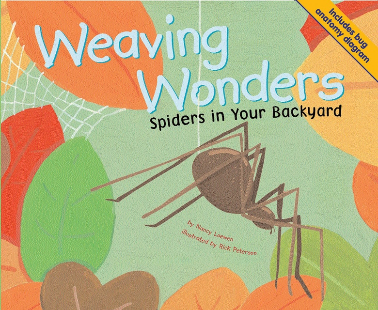 Weaving Wonders