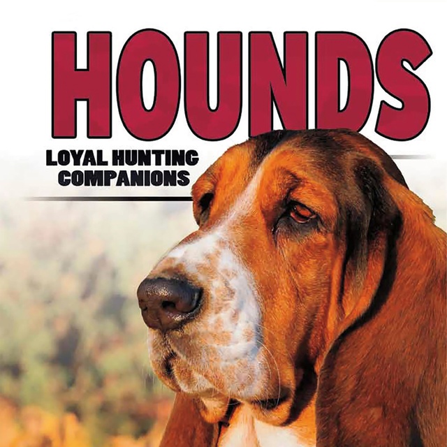 Hounds: Loyal Hunting Companions