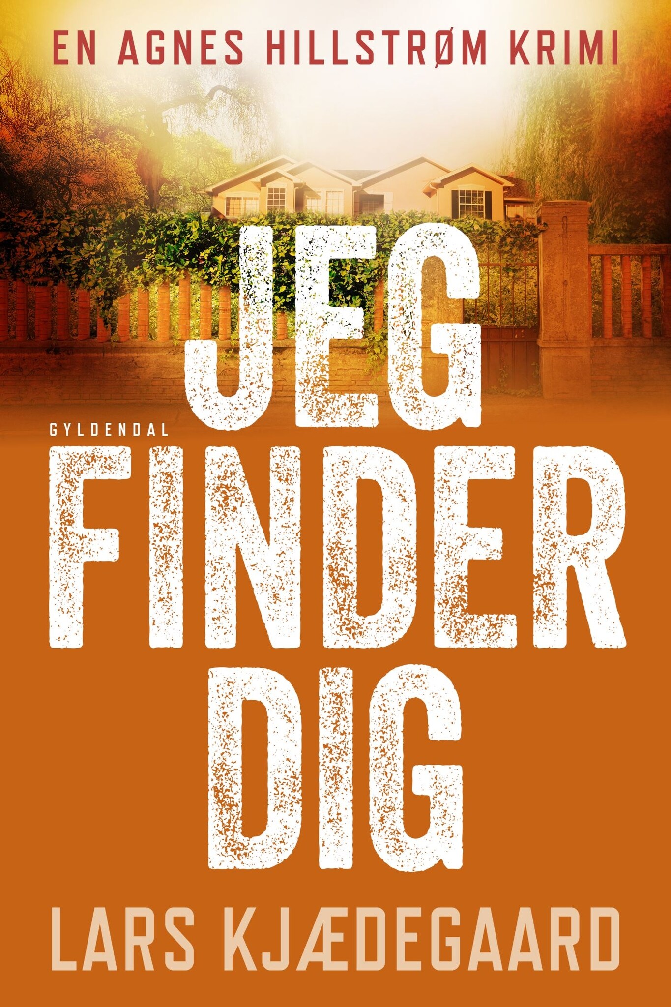 Jeg finder dig